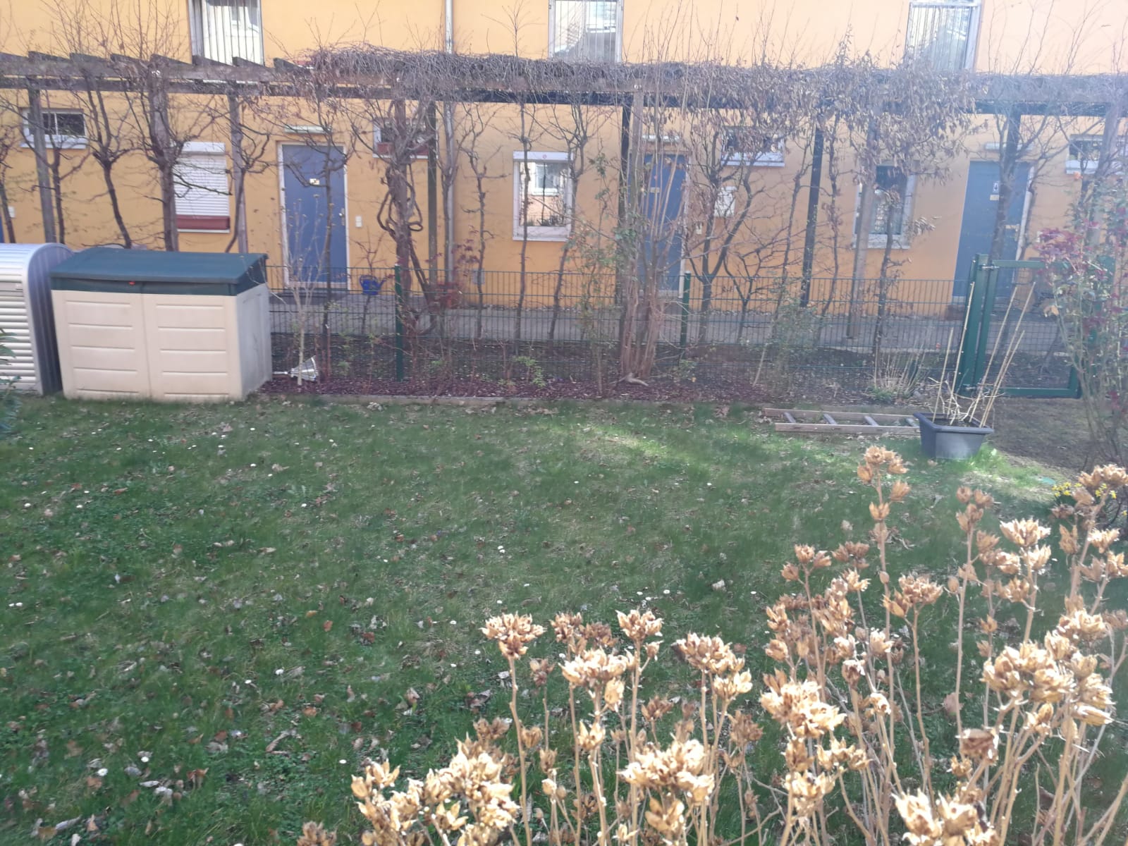2-Zimmer-Wohnung mit großem Eigengarten in Breitensee