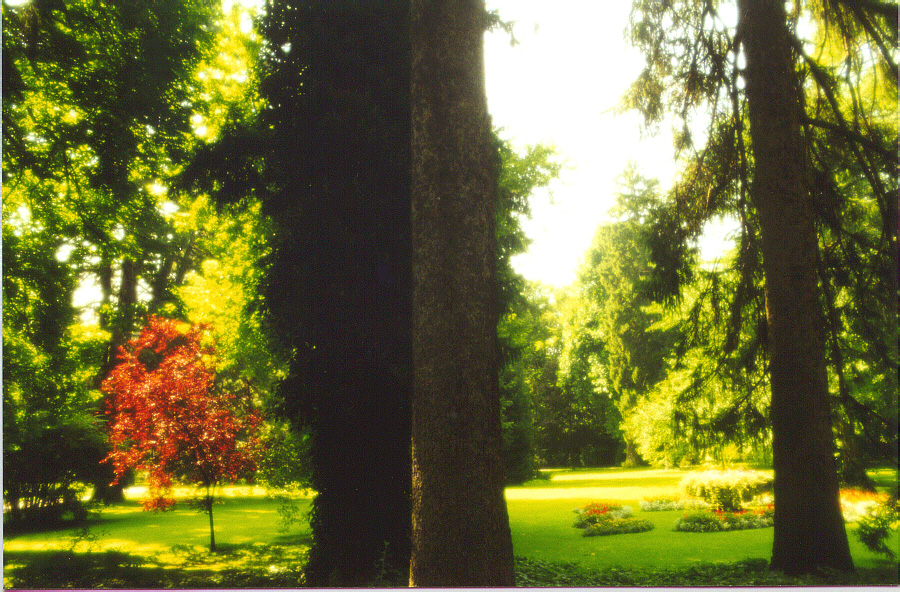 Park in Innsbruck