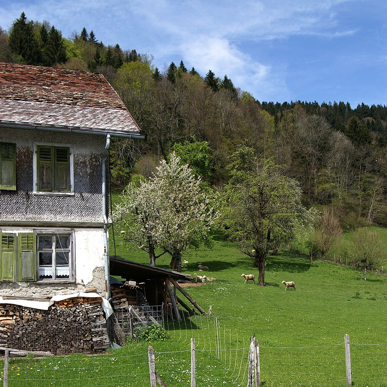 Fluh10Bregenz