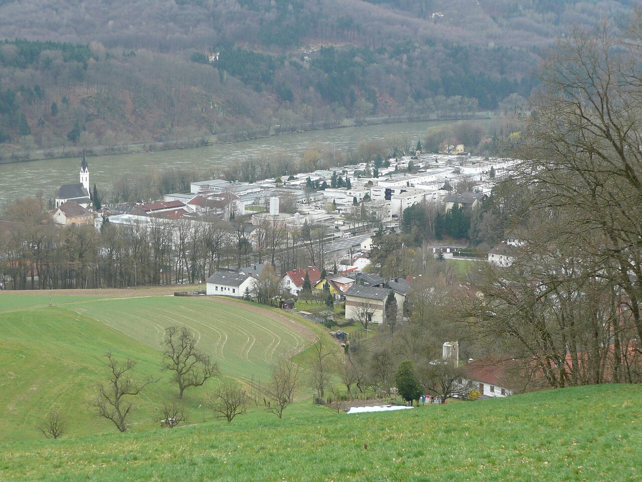 Puchenau2008