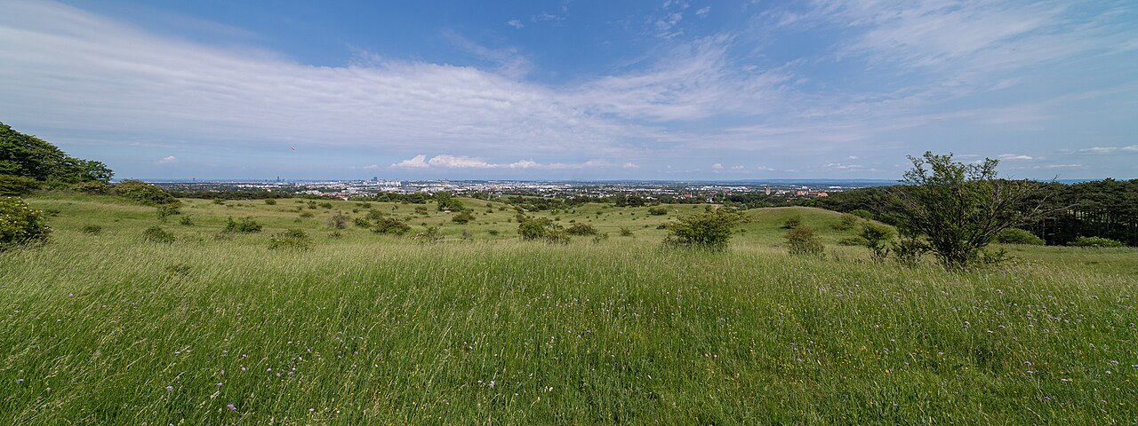 Heide Perchtoldsdorf