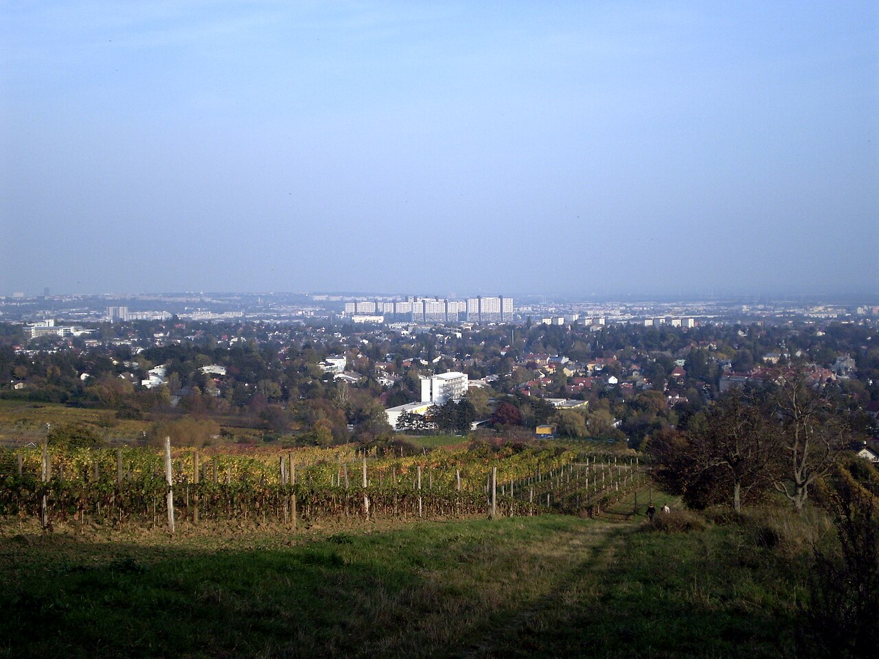 Kadoltsberg Wien Liesing