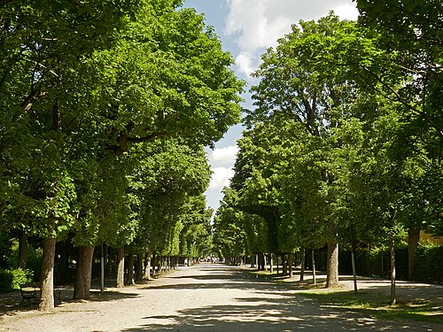 Schlosspark Schönbrunn Allee, Wien