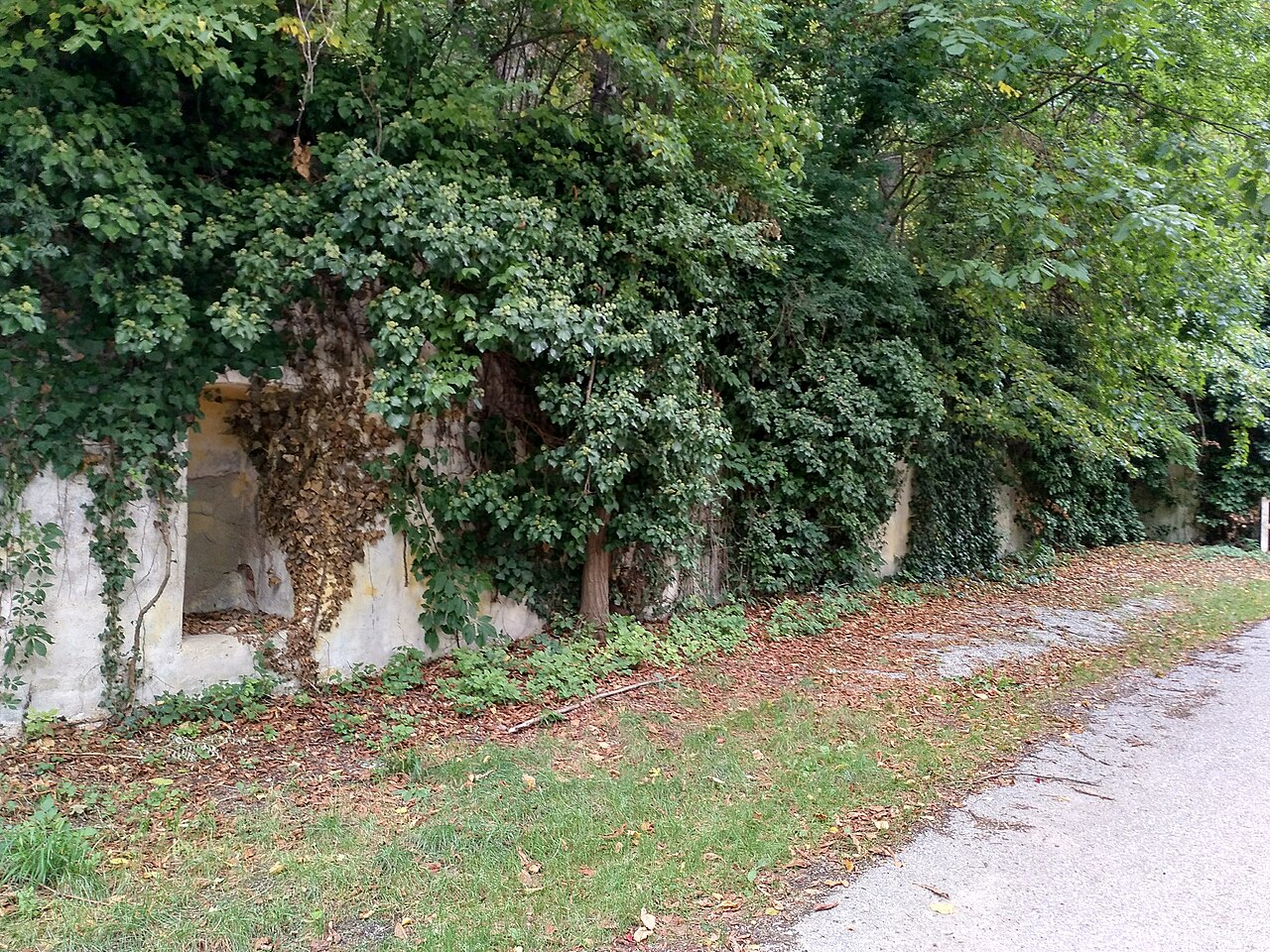 Wasserburger Kellergasse, Unterradlberg