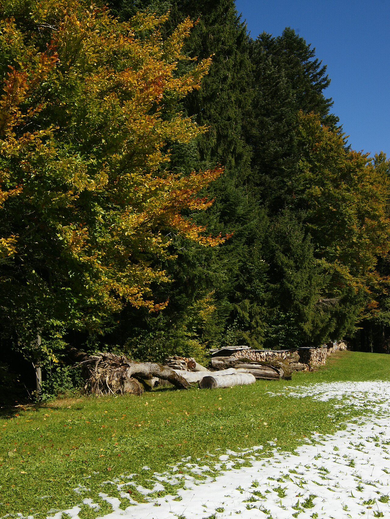 LandratSulzberg1