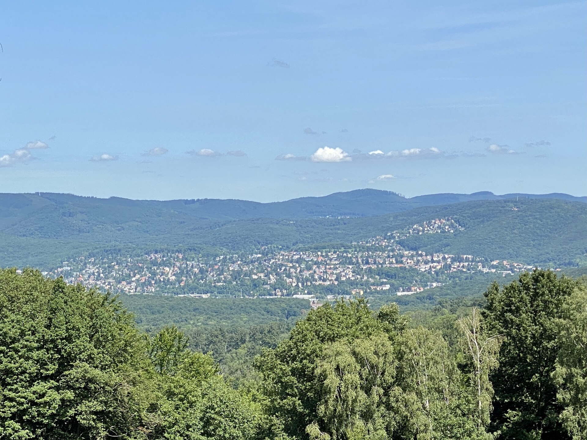Wolfersberg von Kaltbründlberg