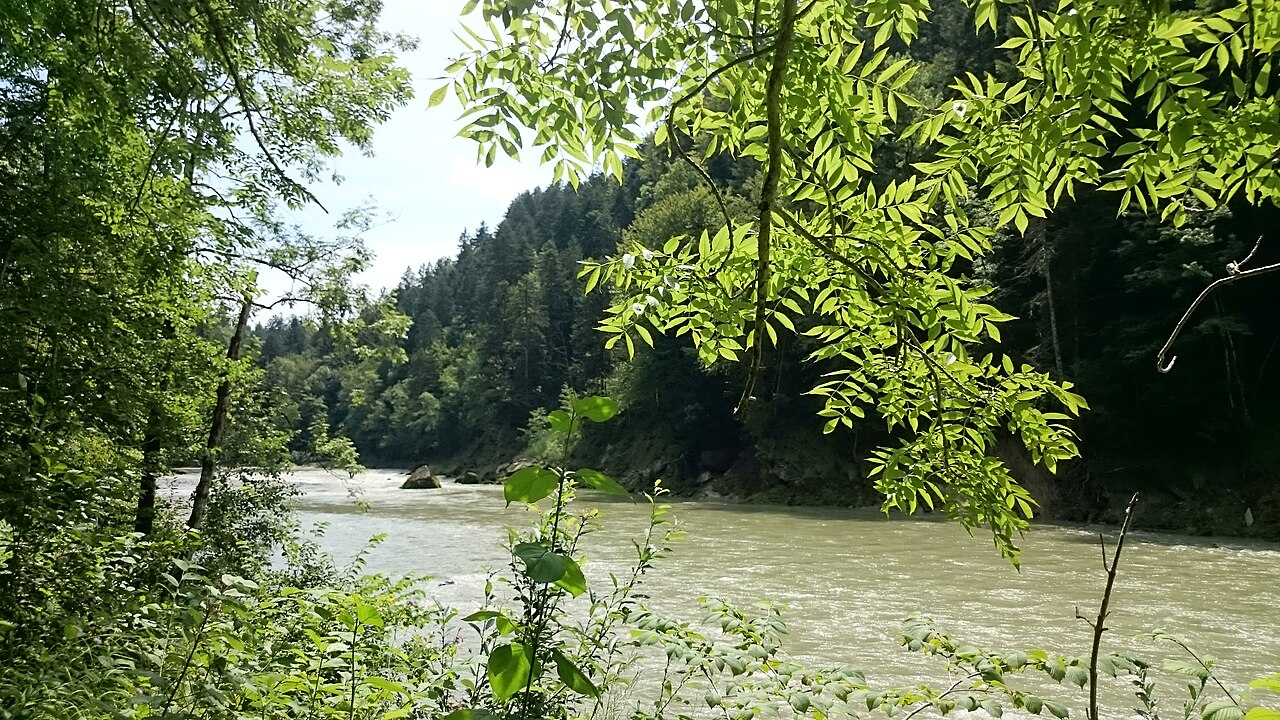 Natura Gebiet Bregenzerachschlucht, Wolfurt
