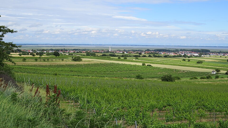 Purbach a Neusiedler See v, Burgenland