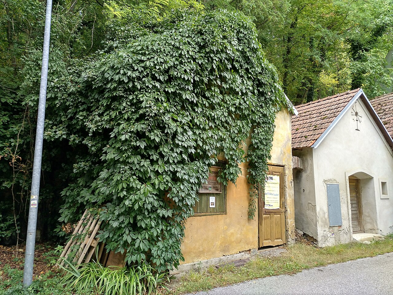 Wasserburger Kellergasse, Unterradlberg