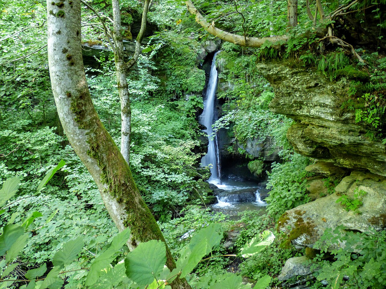 Harter Bach Liebenfels