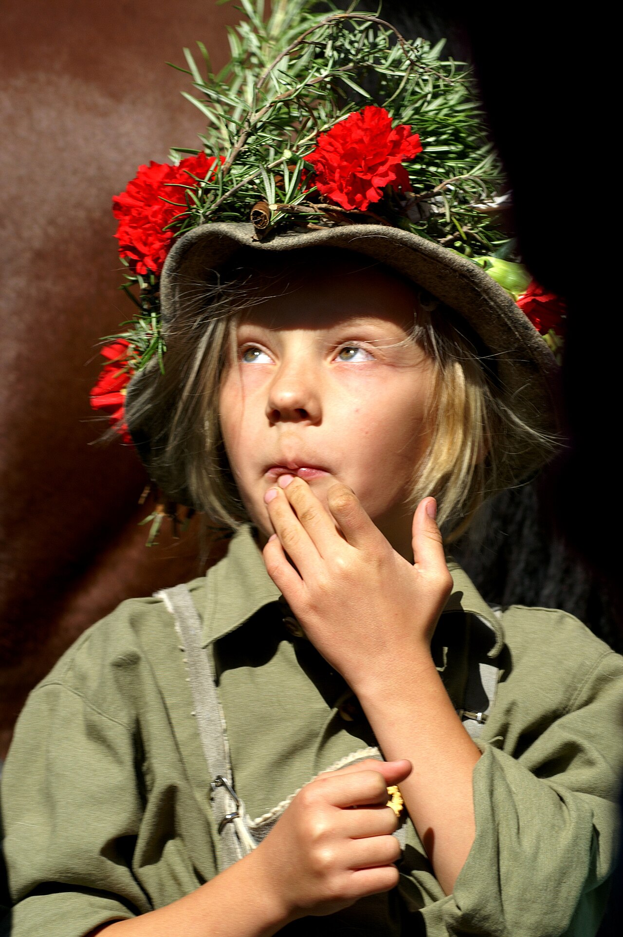 Almabtrieb Schwarzenberg