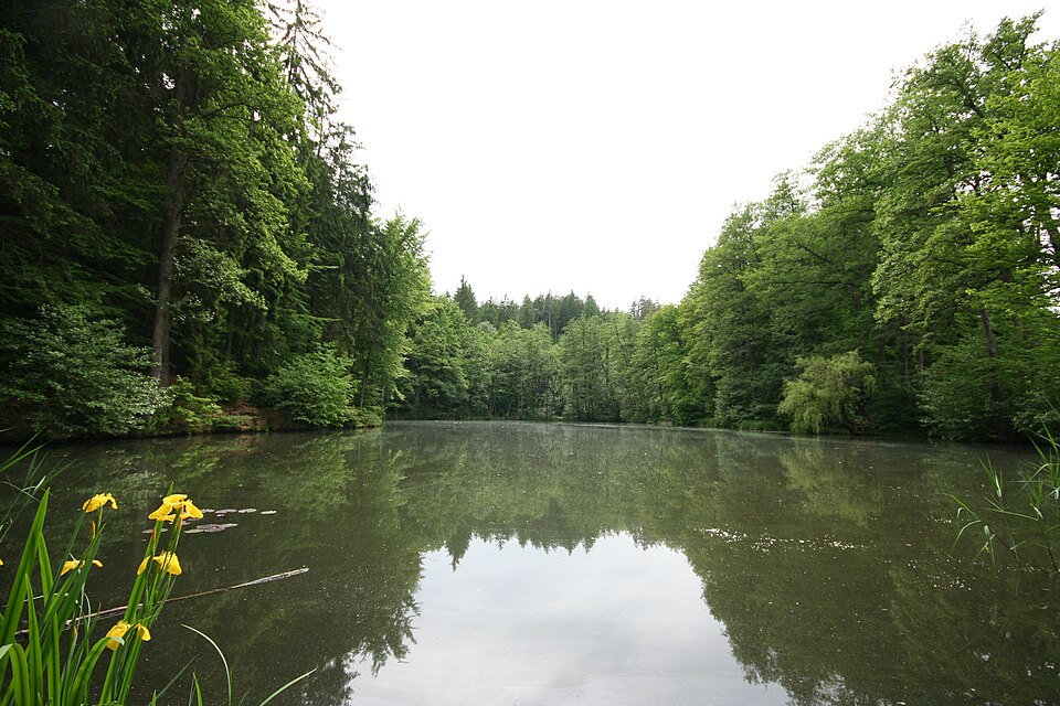Oberer Kreuzberglteich, Klagenfurt