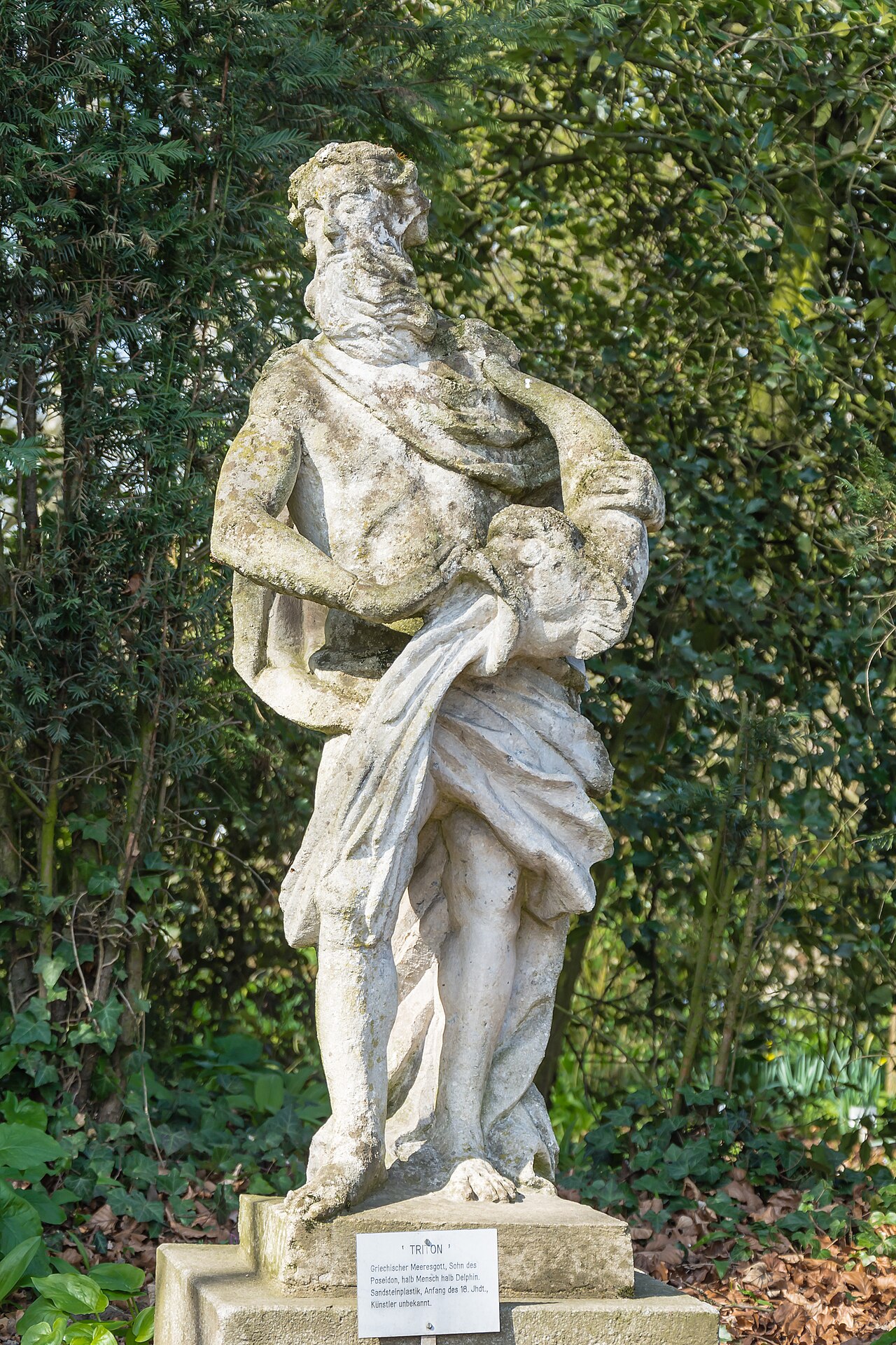 Linz Botanischer Garten Triton, Froschberg