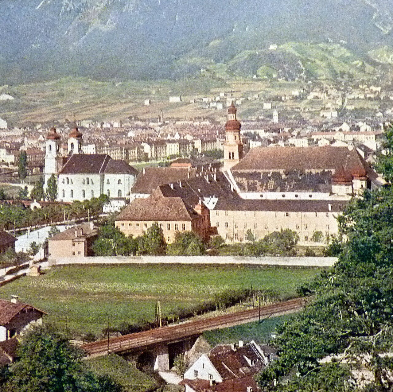Wiltenum1900