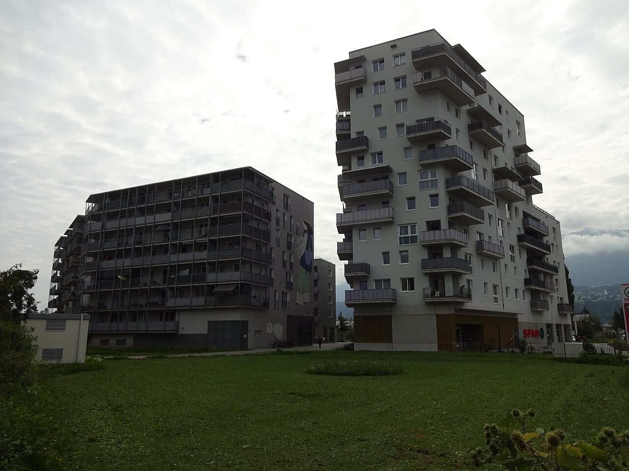 Campagne Reichenau