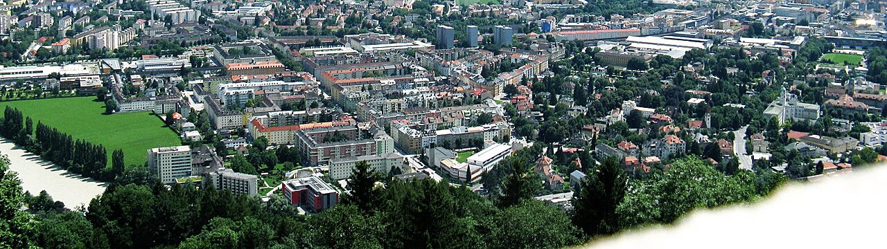 Saggen Überblick