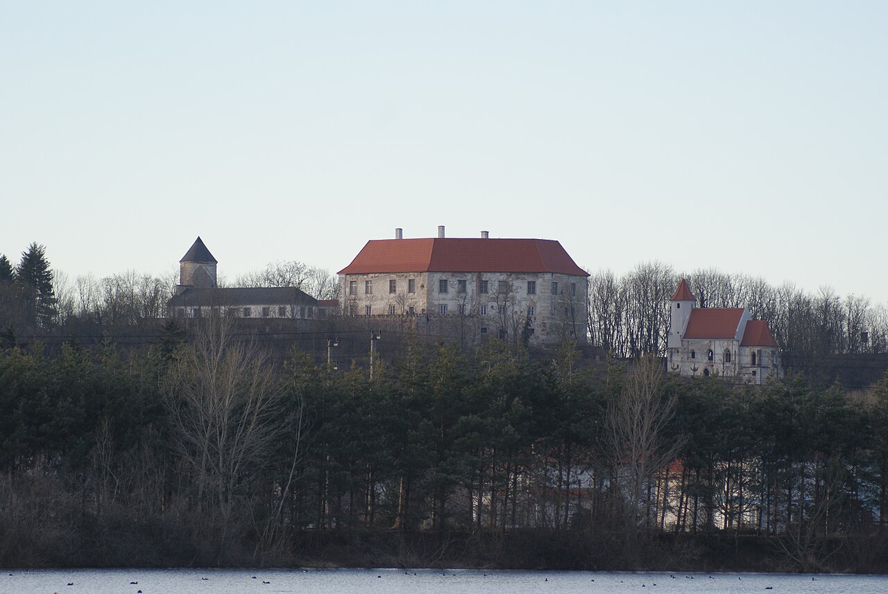 Schloss Viehofen
