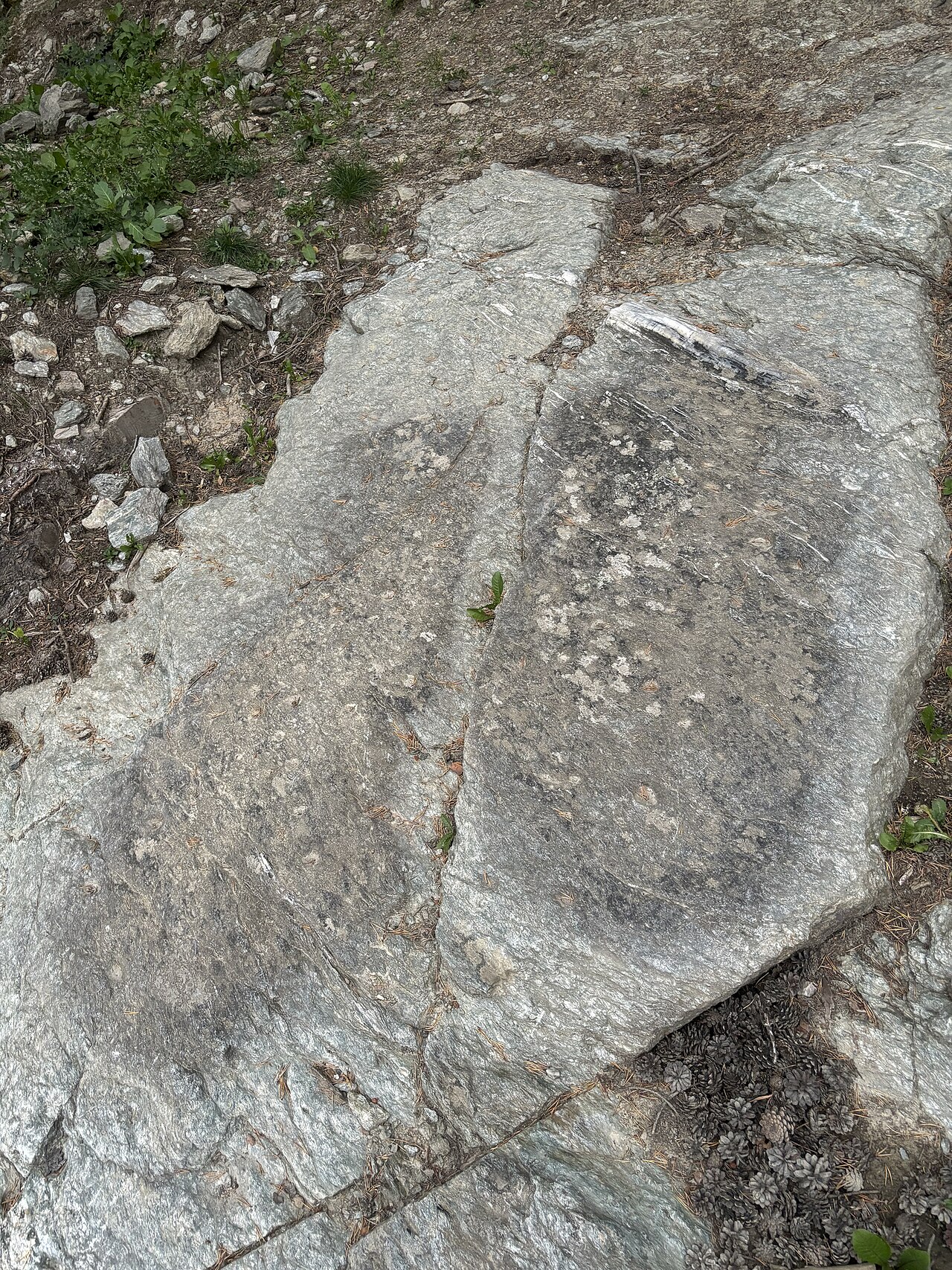 Schalenstein der Plejaden von Tarzens, Ellbögen