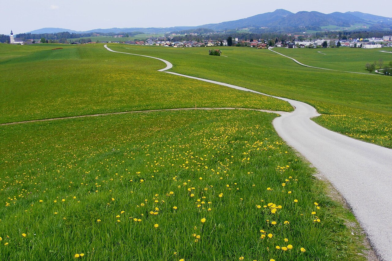 Eugendorf