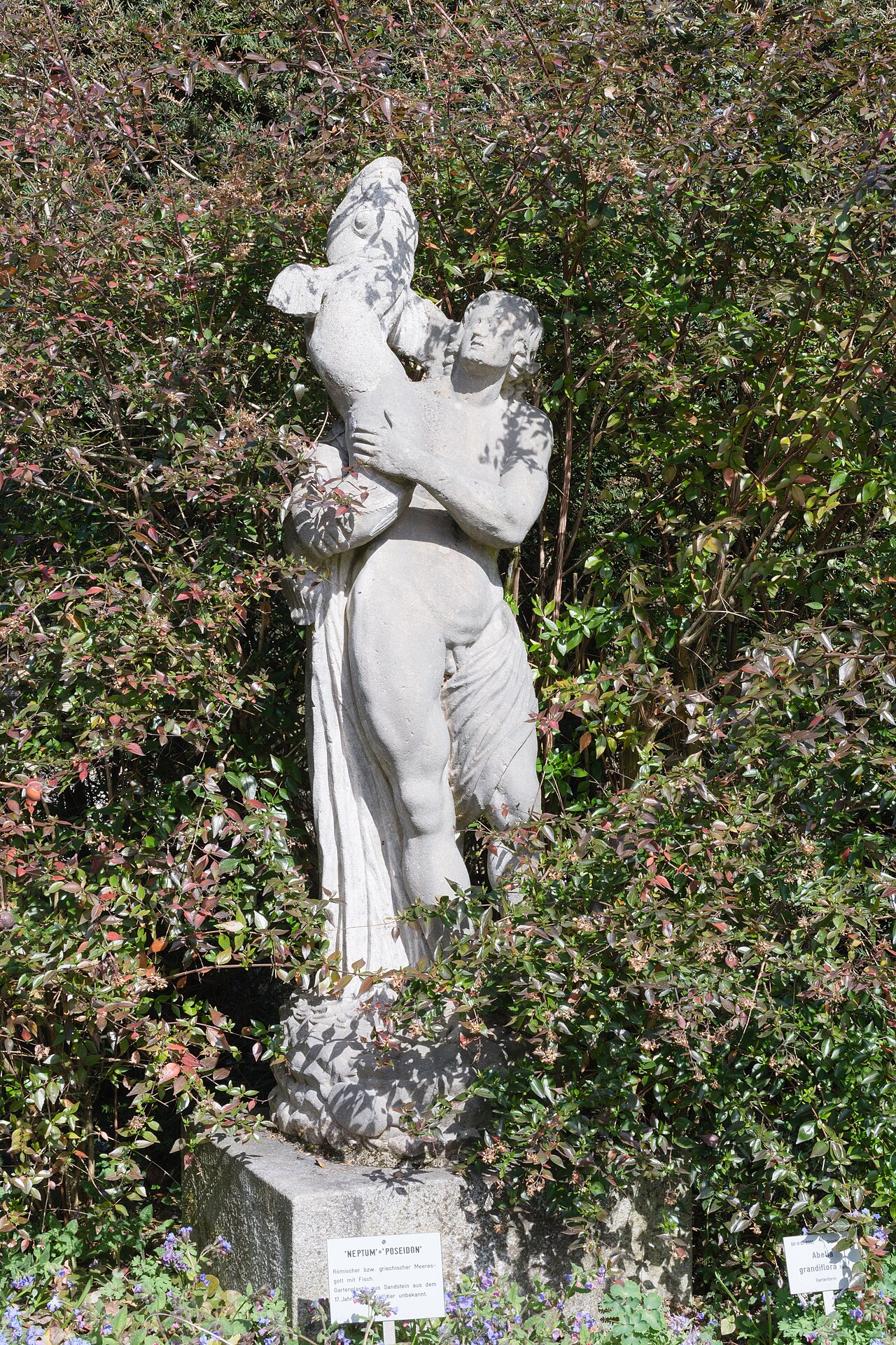 Linz Botanischer Garten Poseidon, Froschberg