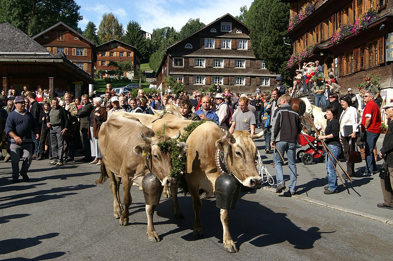 Almabtrieb Schwarzenberg