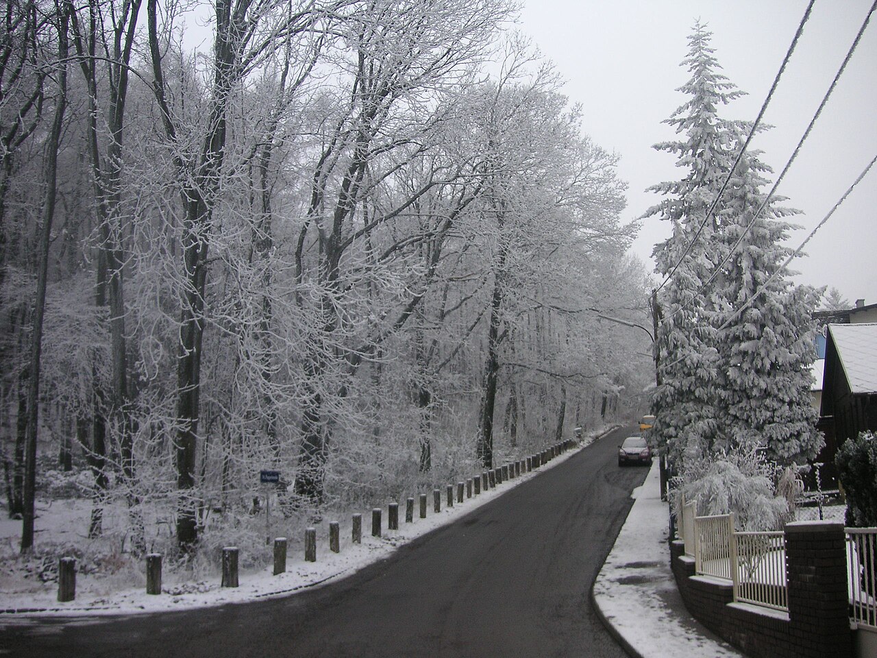 Vienna Woods in winter, Penzing